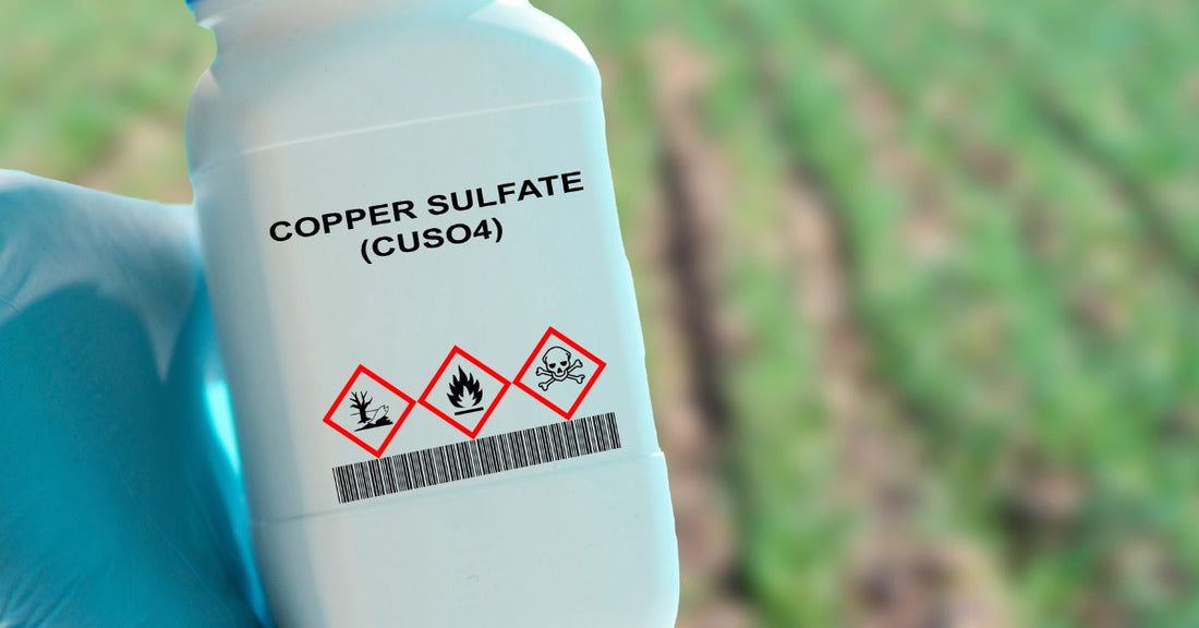 สิ่งที่ควรทราบ ก่อนเริ่มต้นการขนส่งสินค้าอันตราย